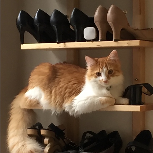 Meet your Posher, Danielle - Picture 3 of 7